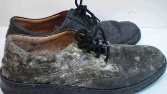 如何从皮鞋上去除霉菌