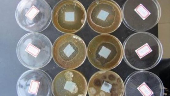 ASTM D4576皮革抗霉菌生长的试验