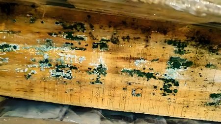 竹木产品防霉最有效的5种方法