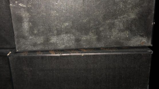 产品发霉竟然是胶水导致的?
