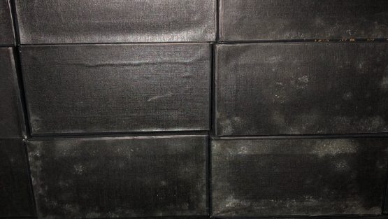 玻璃发霉机理和防霉方法