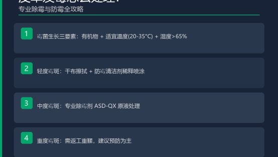 皮革发霉怎么处理？专业除霉与防霉全攻略